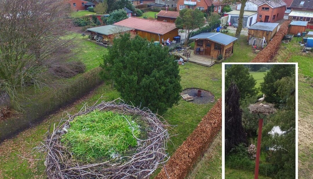 Das Storchennest